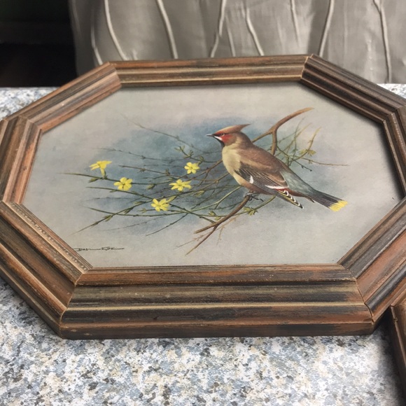 Vintage bird art John M. Karges set of 2 - Picture 5 of 13
